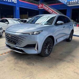 Changan UNI-K2021Model 2.0T Excellence